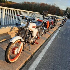 PaulanerSpezi