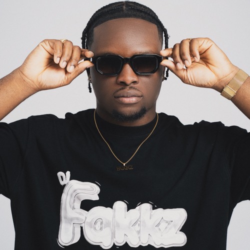 Dj Fakkz artist photo