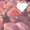 *＊✿❀ 𝐸𝑡ℎ𝑒𝑟𝑒𝑎𝑙 ❀✿＊*