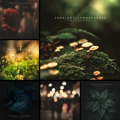 Farsight Atmospheres