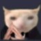Дуб Дубовый