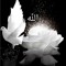 🌷🌿 دعاء سيد توفيق🌿🌷