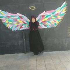 شروق شكر