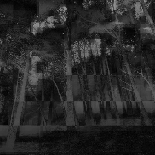 tewiq - Project_8 (упадут птицы)