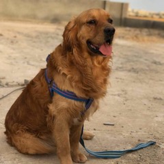 Doha Mohammed