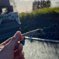 tekksucht