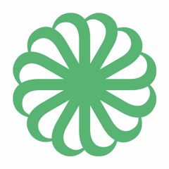 The Mindful Finance Podcast