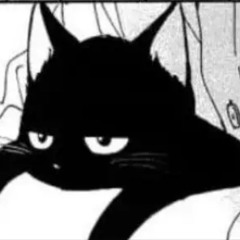 tiredcat