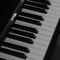 the Pygmé Studio Project