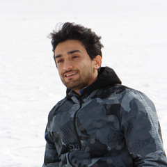 shayan mahdavi