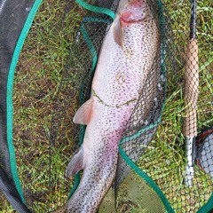 fisherman