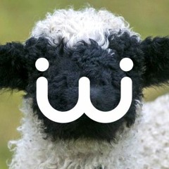WPY