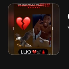 YBK Lil Money_K3🦍🎙️💵