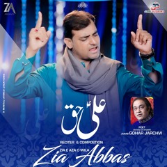 Zia Abbas Official