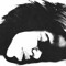 jake kiss