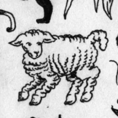 n30_SPCK