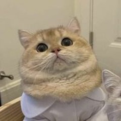 TrươngNgọc Khôi