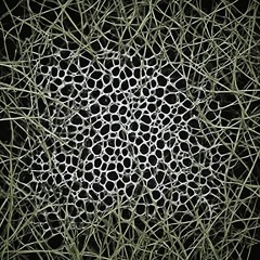 SAVPFAMFMTTIOAAIFPGPBSOHPATRHSSMIUE