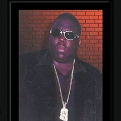 The Panavised Sony HDW-F900 by B.I.G.G.Y.