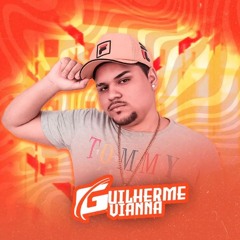 Guilherme Vianna