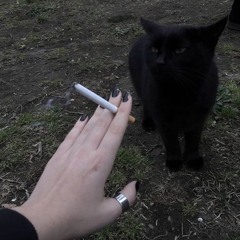 eviq))00)