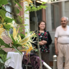 بیاد پدر
