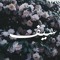 Fatima MG Muhamed