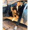 Amr Essam