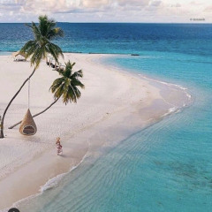 ՇгŌשเ๒ร🌴