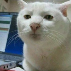 이준호