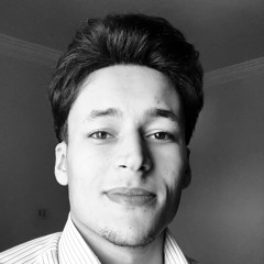 Mohamed Alrteimy