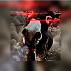 donkey on vapuuz
