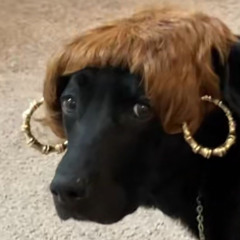 iz
