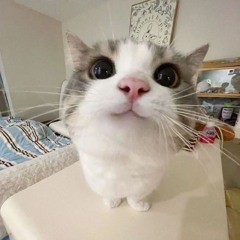 aliitsme
