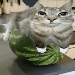 Люминит