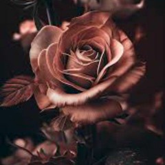 Malala ( follow for real music)
