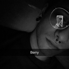 BerryTekk