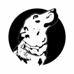 LucaStudios