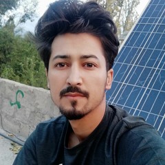 Muhammad Anwar