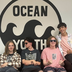 Suspicious Anteaters