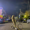 이준서
