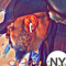 Jay75Euro