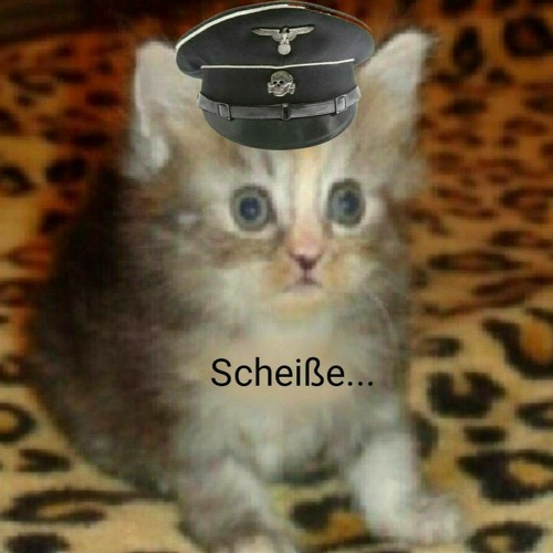 Steam Workshop::Poopboid