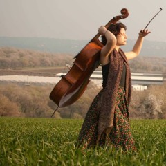 Tal Katz
