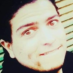 Hassan Mohamad Alsbrout
