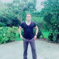 ahmadreza alizade
