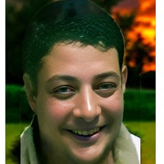 Magdy Alhakem