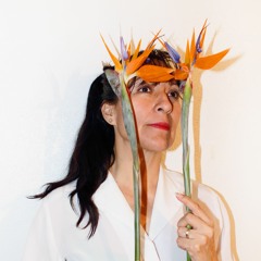 laura loeza padilla