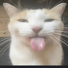 Konsti