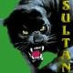 SultanPunjab